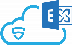Icon van een greybox pentest