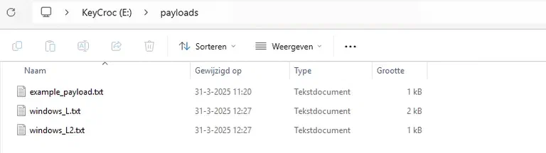 KeyCroc voorbeeld bestanden