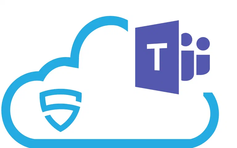 icon van een whitebox pentest